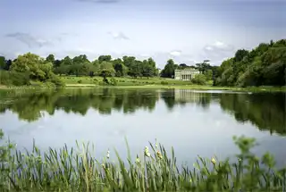 Green Lawn with Waterbodies