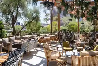 Open-Air Cafeteria