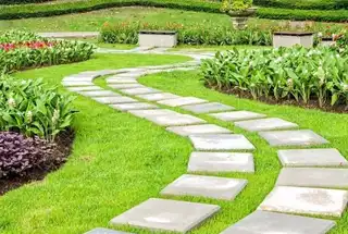 Landscaped Garden
